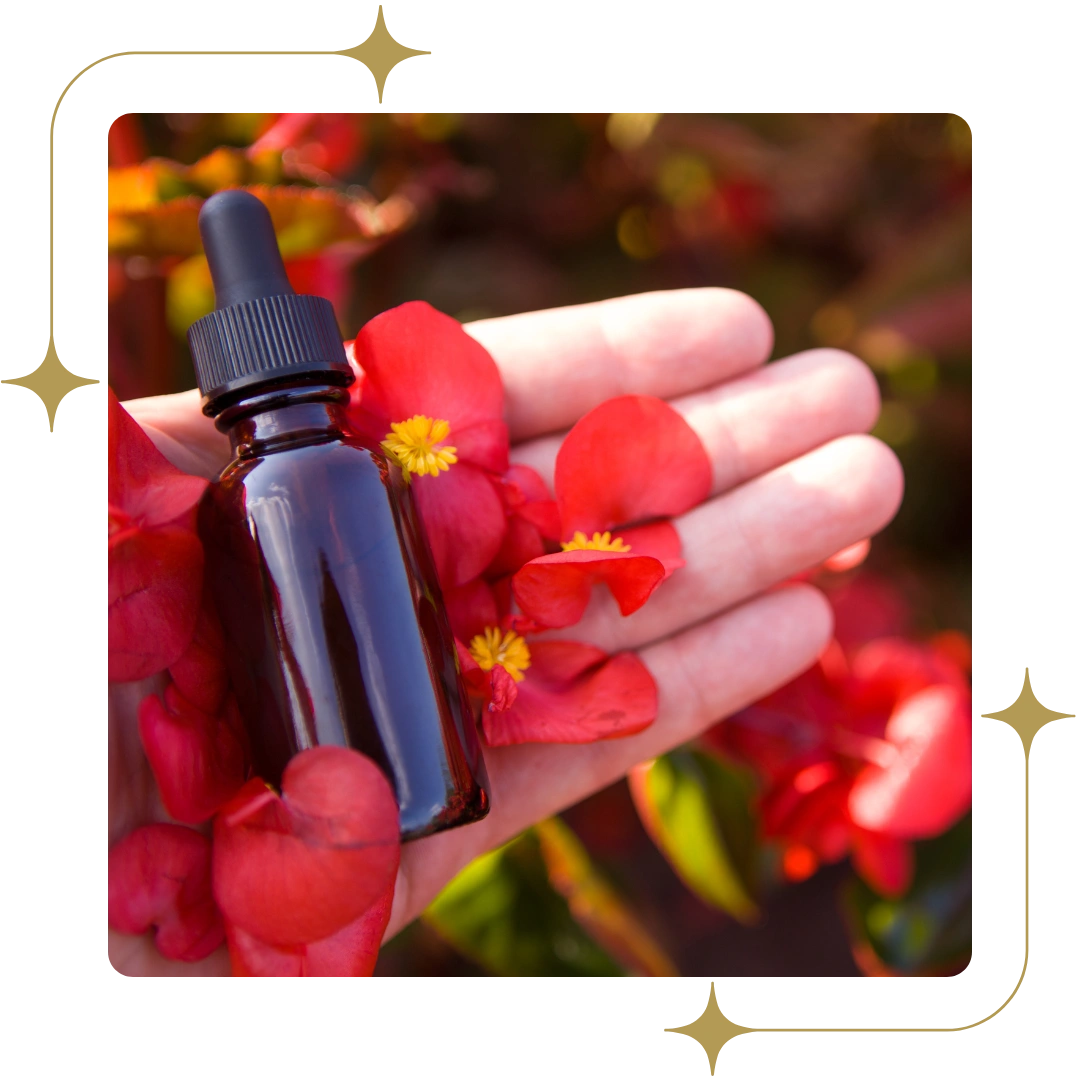 Bach Flower Therapy Bach Flower Therapy
