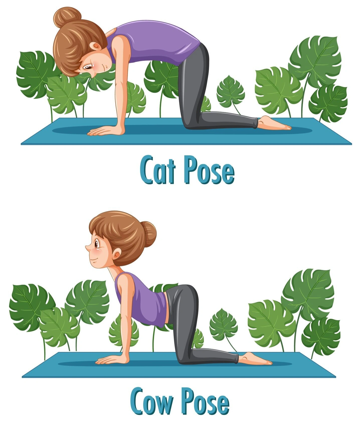 Cat & Cow Pose Cat & Cow Pose